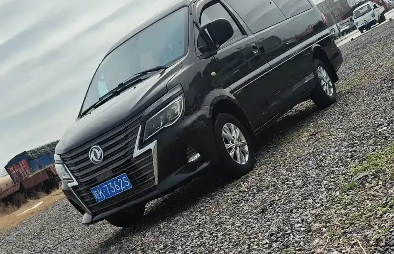 Fengxing Lingzhi 2021 из Китая