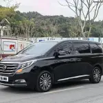 GAC Motor Trumpchi M8 2019 201 л.с. — лот 57736050 из Китая