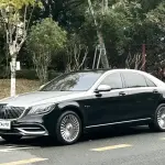 Mercedes-Benz S-Class 2018 367 л.с. 367 л.с. 367 л.с. 367 л.с. из Китая