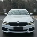 BMW 5 Series 2019 из Китая