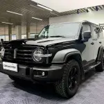 Tank Tank 300 2021 227 л.с. — лот 57733528 из Китая