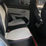 BYD PLUS New Energy 2023 из Китая