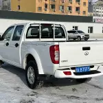 Great Wall Fengjun 5 2024 из Китая