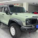 Tank Tank 300 2023 из Китая