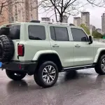 Tank Tank 300 2024 из Китая