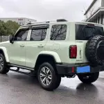 Tank Tank 300 2024 из Китая