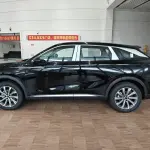 Exeed Yaoguang из Китая