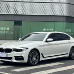 BMW 5 Series 2019 из Китая