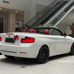 BMW 2 Series (Import) 2019 из Китая