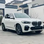 BMW X5 (Import) 2019 из Китая