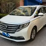 GAC Motor Trumpchi M8 2019 201 л.с. — лот 57738002 из Китая