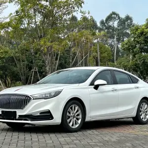 Hongqi Hongqi H5 2020 из Китая