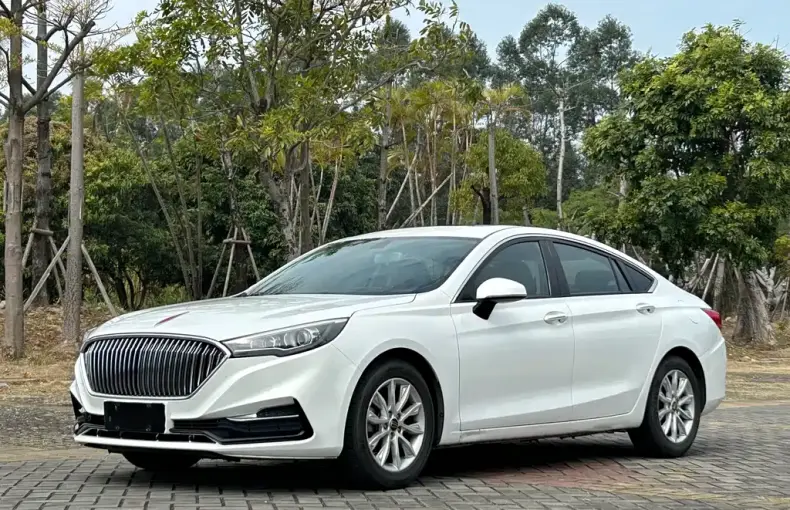 Hongqi Hongqi H5 2020 из Китая