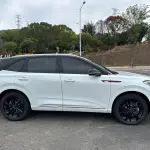 Hongqi Hongqi HS3 PHEV 2025 из Китая