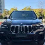 BMW X5 (Import) 2021 265 л.с. 265 л.с. из Китая