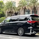 GAC Motor Trumpchi M8 2021 из Китая