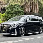 GAC Motor Trumpchi M8 2021 из Китая
