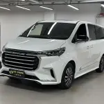大通 G20 2020 из Китая