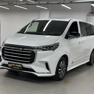 大通 G20 2020 из Китая