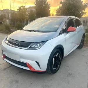 BYD Dolphin 2021 из Китая