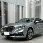 Hongqi Hongqi H5 2022 из Китая