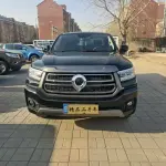 Great Wall Pao 2023 190 л.с. 190 л.с. из Китая