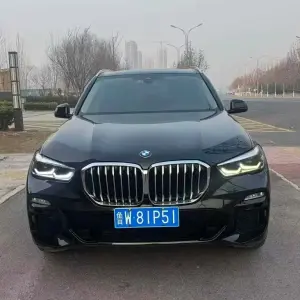 BMW X5 (Import) 2020 265 л.с. 265 л.с. 265 л.с. 265 л.с. 265 л.с. из Китая