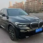 BMW X5 (Import) 2020 265 л.с. 265 л.с. 265 л.с. 265 л.с. 265 л.с. из Китая