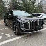 Hongqi Hongqi HS7 PHEV 2024 из Китая