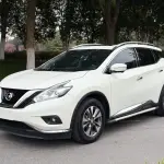 Nissan Murano 2021 186 л.с. из Китая