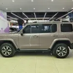 Tank Tank 300 2023 из Китая