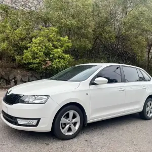 Skoda Rapid Spaceback 2014 из Китая