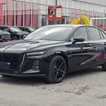 Hongqi Hongqi H5 2024 из Китая