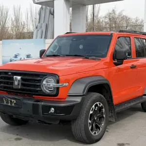 Tank Tank 300 New Energy 2025 из Китая