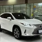 Lexus RX 2022 231 л.с. — лот 57766425 из Китая