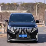 GAC Motor Trumpchi M8 2022 из Китая