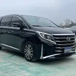 GAC Motor Trumpchi M8 2021 из Китая
