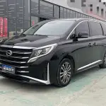 GAC Motor Trumpchi M8 2021 из Китая