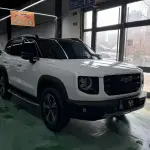 Haval Big Dog 2021 из Китая