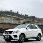 Mercedes-Benz GLE 2017 272 л.с. 272 л.с. 272 л.с. из Китая