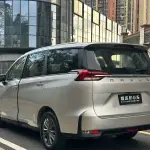 大通 G50 2019 из Китая