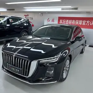Hongqi Hongqi H5 2023 из Китая