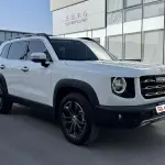 Haval Big Dog 2021 169 л.с. — лот 57777187 из Китая