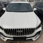 Geely Xingyue L 2022 218 л.с. 218 л.с. 218 л.с. 218 л.с. из Китая