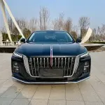 Hongqi Hongqi H5 2024 169 л.с. — лот 57779248 из Китая