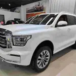 Tank Tank 500 New Energy 2023 из Китая