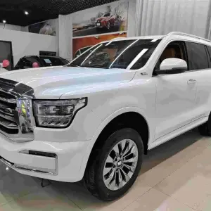 Tank Tank 500 New Energy 2023 из Китая