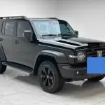Tank Tank 300 2024 из Китая