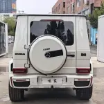 Mercedes-Benz G-Class 2018 245 л.с. — лот 57795288 из Китая