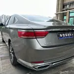 Geely Borui 2021 из Китая